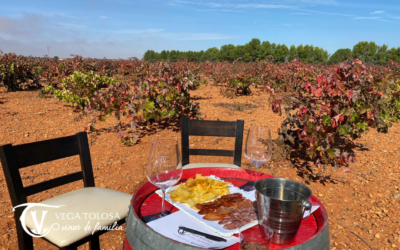 Enoturismo Castilla-La Mancha: descubre la tierra del vino