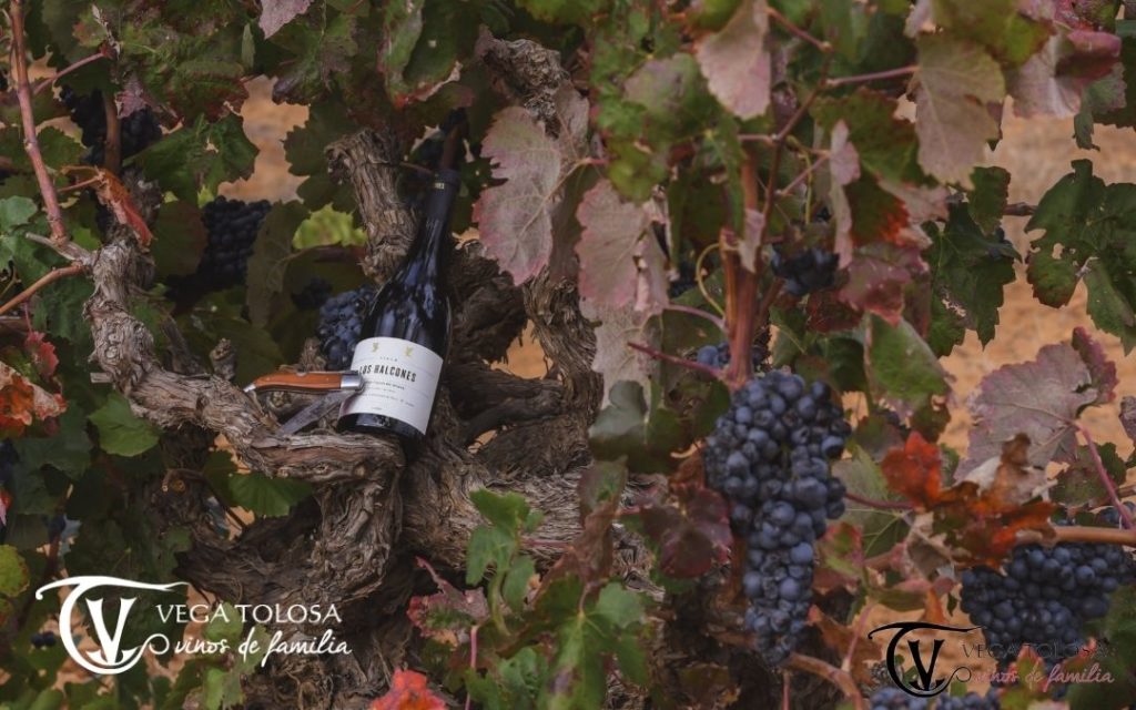 Concurs mondial brusels