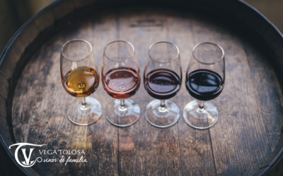 Vinos de la Manchuela: conoce sus características