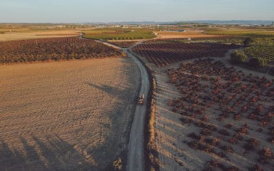Aqui La Tierra Vega Tolosa DOP Manchuela