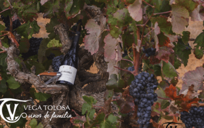 Vega Tolosa en el «Madrid Fusión 2021»