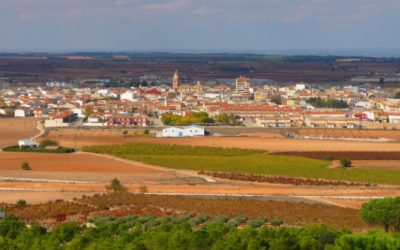 Descubriendo Casas Ibáñez: vino y naturaleza en perfecta armonía
