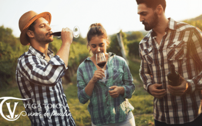 Enoturismo: Turismo del vino