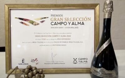 Vega Tolosa Brut Nature Reserva 2018 Mejor Vino Espumoso Premios Gran Selección Campo y Alma 2022