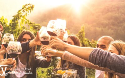 VEGA TOLOSA RECIBE EL PREMIO TRIPADVISOR TRAVELLERS’ CHOICE