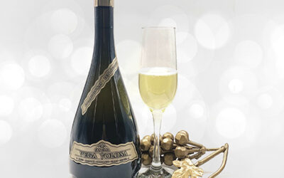 Vega Tolosa Brut Nature Chardonnay Gran Reserva 2018: de Manchuela, a la manera de los grandes champagnes galos