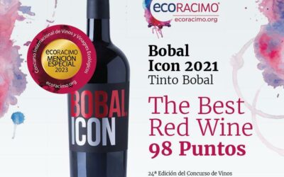 El Renacimiento del Bobal: Un Vistazo al Legado de la Familia Tolosa y la DO Manchuela