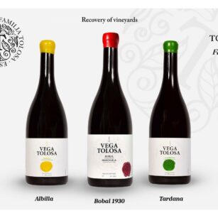 Pack de 3 Vinos + 2 Entradas Enoturismo Vega Tolosa